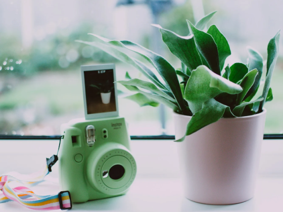 Discover the Must-Have Polaroid Cameras of Today