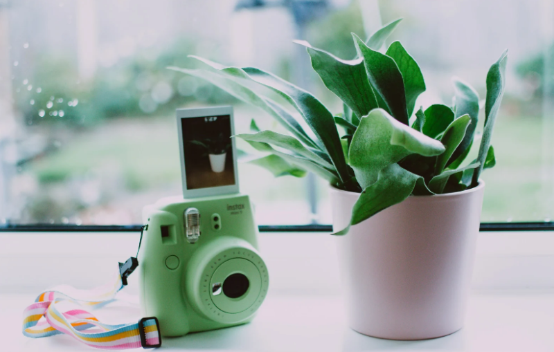 Discover the Must-Have Polaroid Cameras of Today