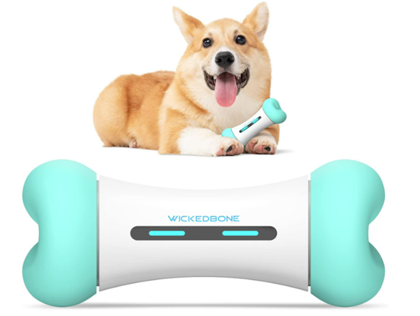 Best Smart Pet Toys for Your Furry Friends-Cheerble Smart Bone Interactive Dog Toy