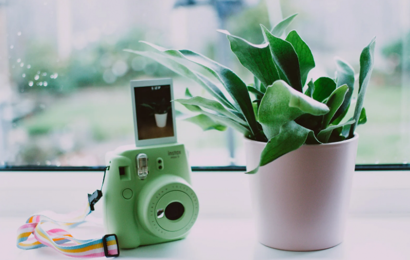 Snap and Print: Unveiling the Hottest Polaroid Cameras of Today!