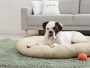 Best Pet Beds for Dogs