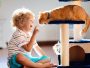 10 Essentials Things Your Cat Needs at Home