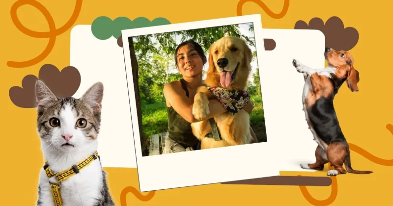 Trusted GPS Collars With Geofencing Pet Owners Love